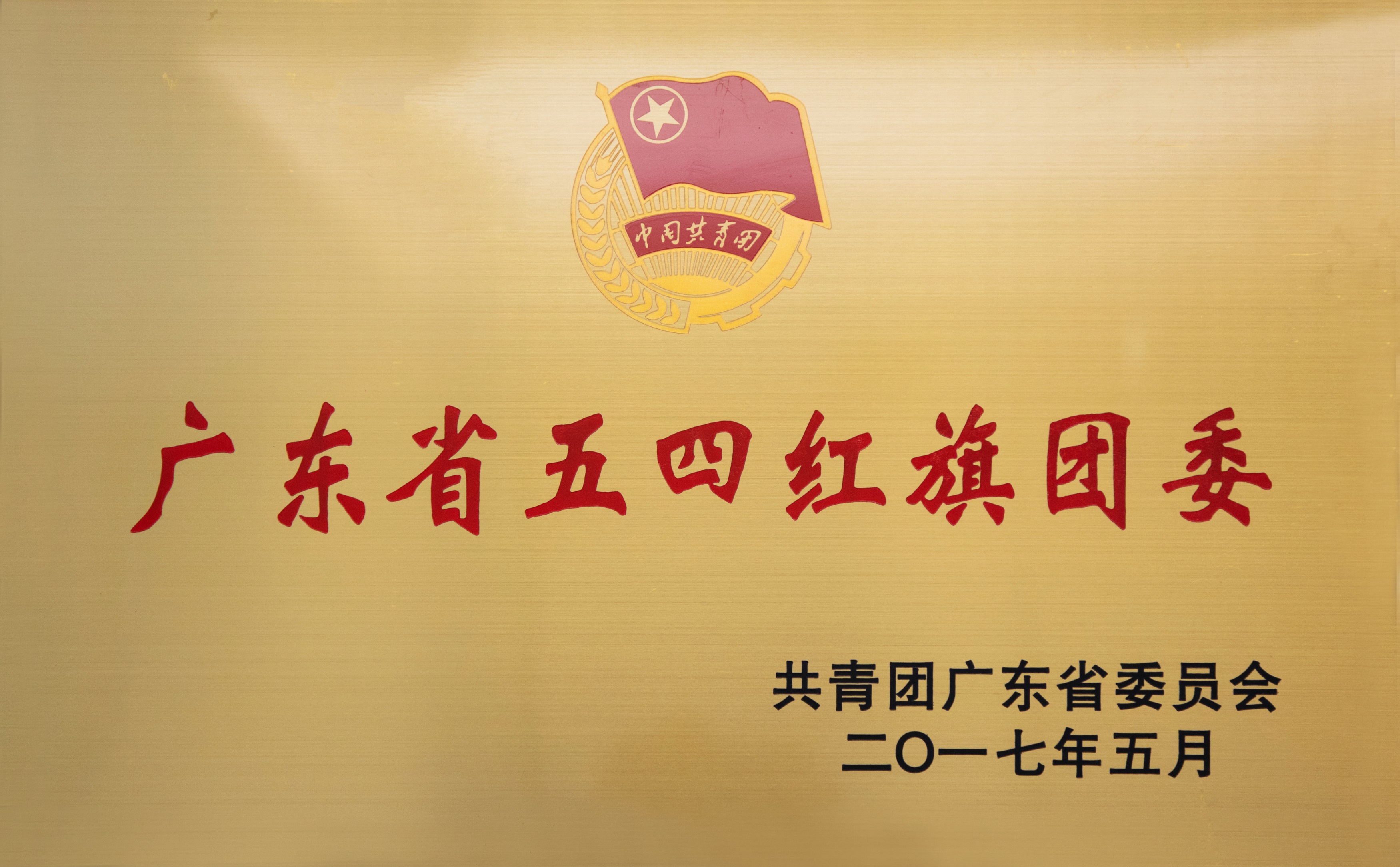 广东省五四红旗团委