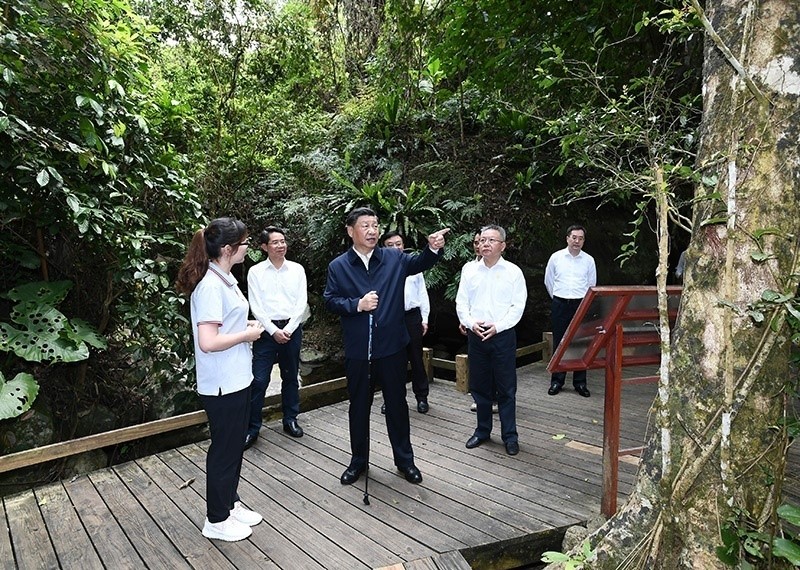 一见·水库、粮库、钱库、碳库，走近总书记讲述的绿水青山