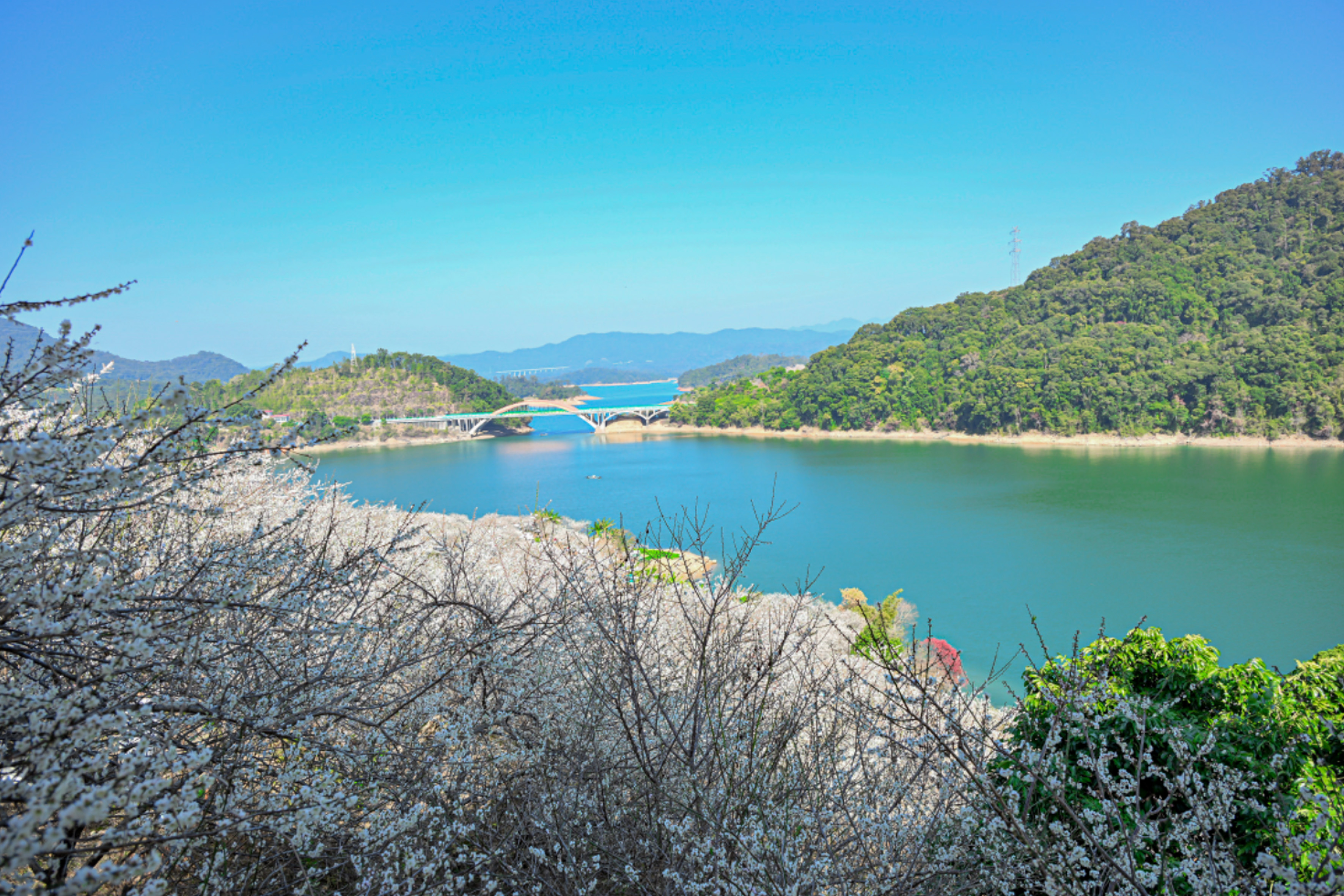 酒店文旅